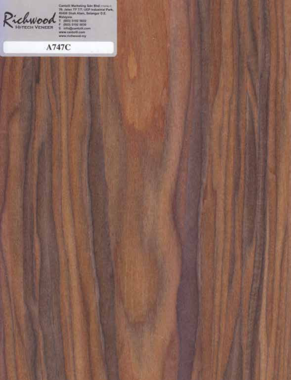 Veneer species 3
